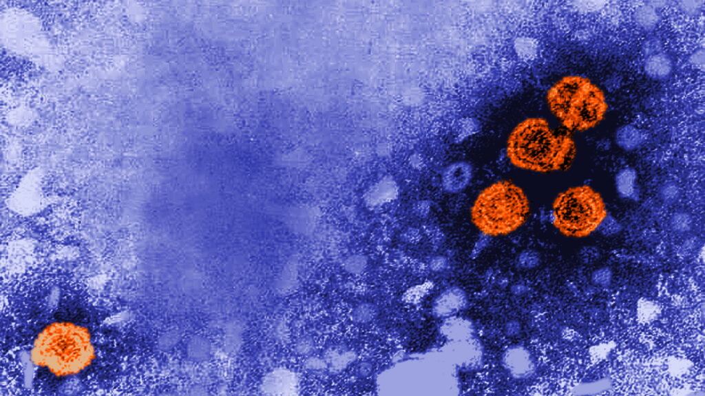 Vaccine critics overlook why newborn hepatitis B shots are routine