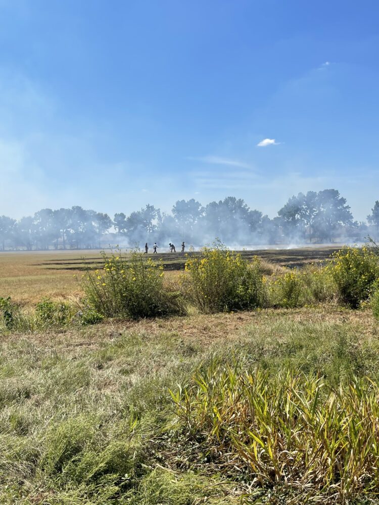 Hooks Airport Crash Burned Field