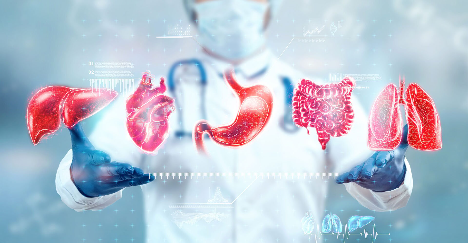 Human Organs Hologram