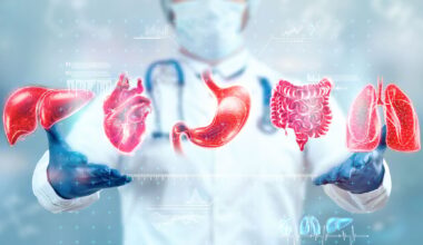 Human Organs Hologram
