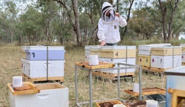 Genetic Tools Boost Bee Activity
