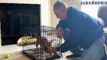 Ruben Pena was walking his pet chihuahua, Sunday morning, when he saw smoke coming from his neighbor's apartment, Rancho Peñasquitos, Calf., September 21, 2025. 
