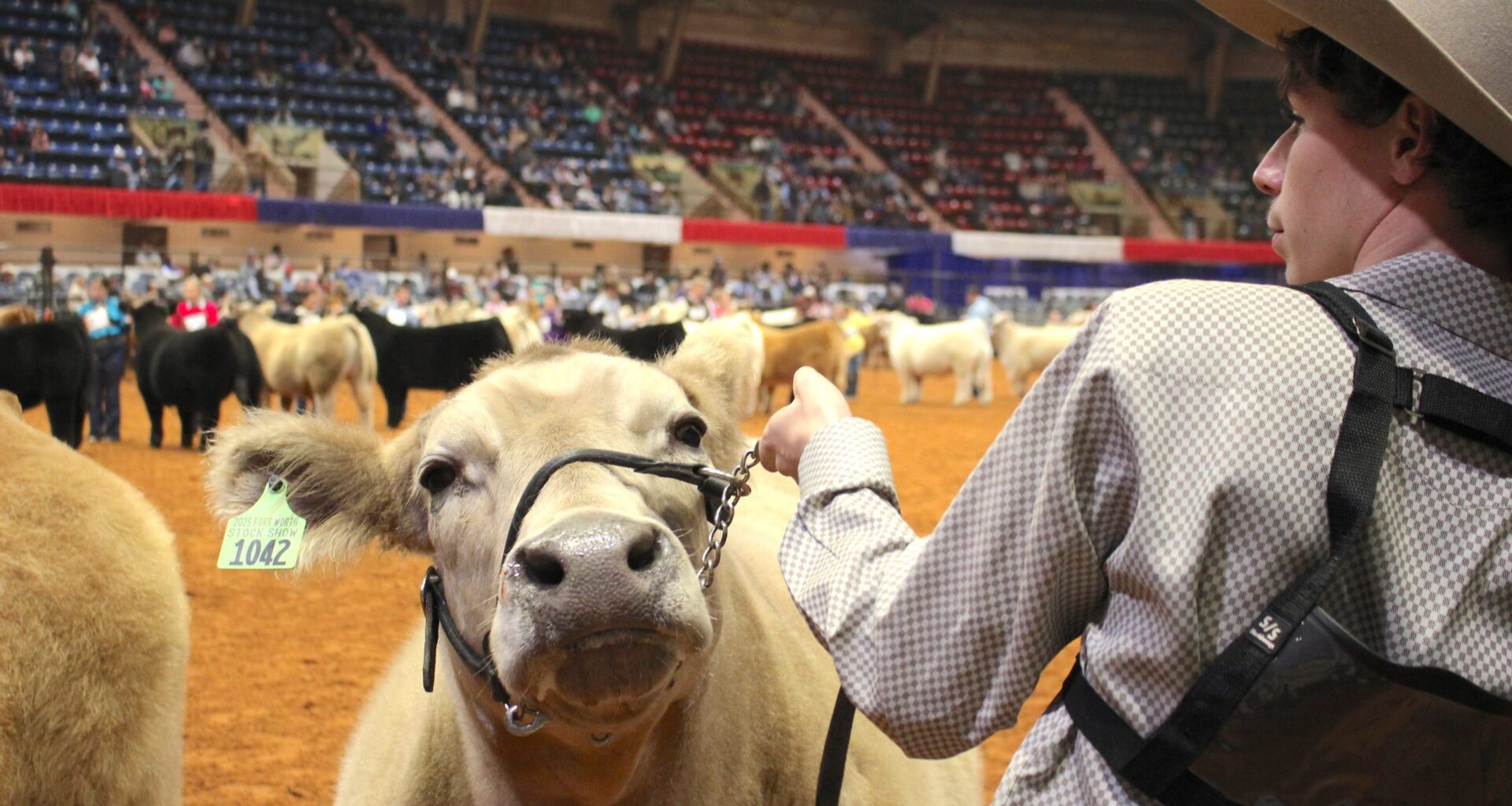 Will Rogers to get $28.6M from Fort Worth for coliseum renovations