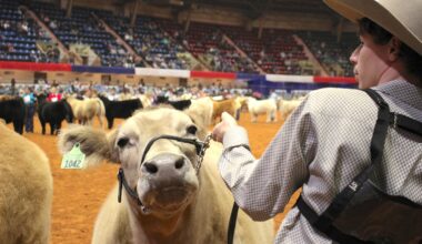Will Rogers to get $28.6M from Fort Worth for coliseum renovations