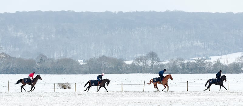 Horse riding in the Chilterns