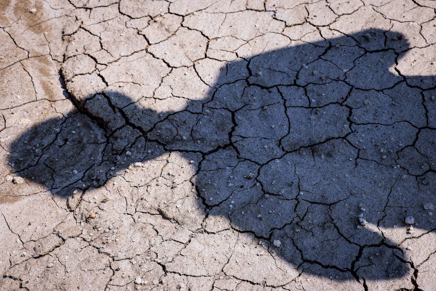 Ed Motley, program manager for Lake Ralph Hall, casts a shadow on the floor of the future...