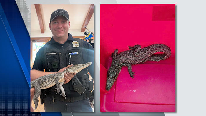 Reptile dysfunction? South American crocodile found lounging in Michigan front yard