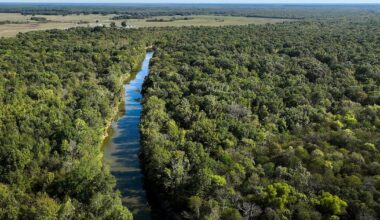 Texas is trying to avoid a water crisis. How does Dallas-Fort Worth factor into the plans?