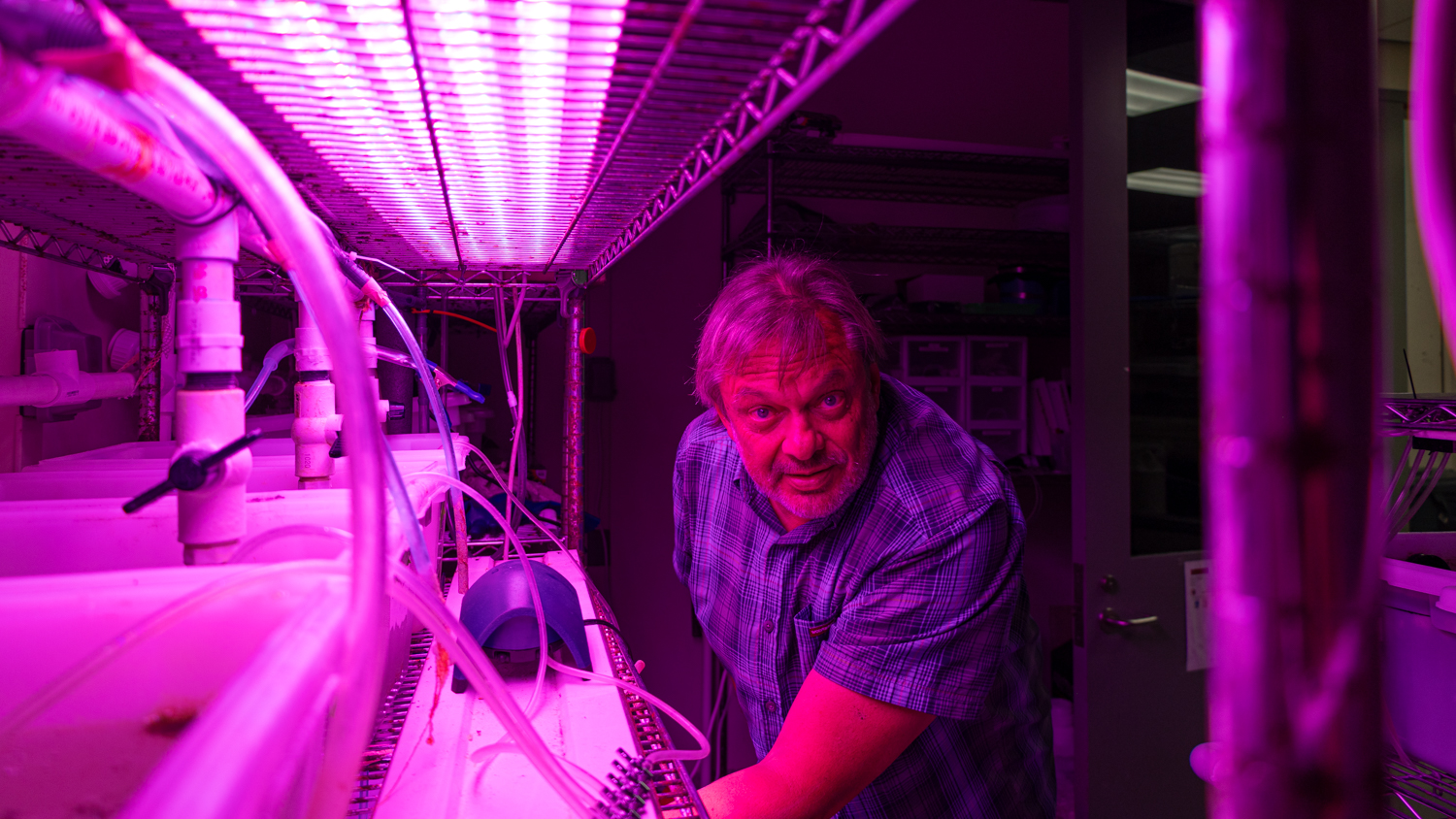 Cracking the Code on 'Super Kelp' Genetics