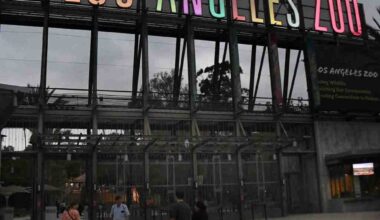 Los Angeles landmarks are lit up to celebrate 4th anniversary of LA For All campaign – Daily News