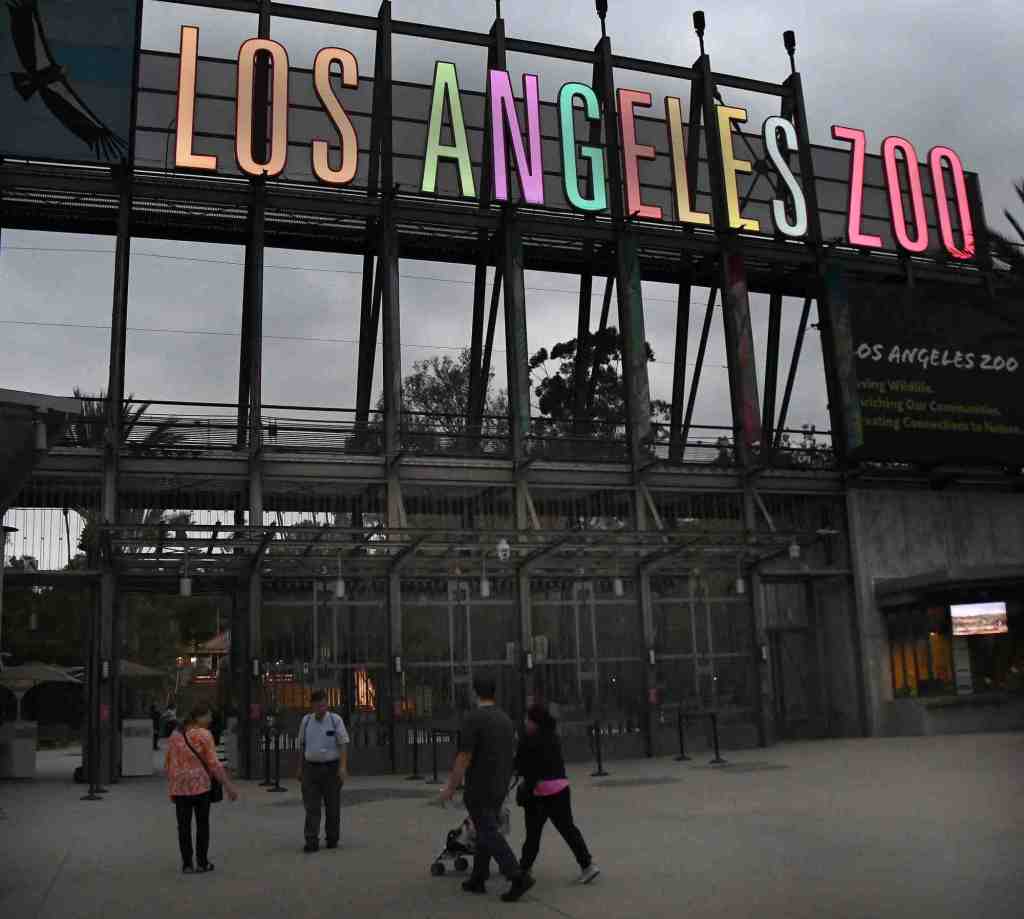 Los Angeles landmarks are lit up to celebrate 4th anniversary of LA For All campaign – Daily News