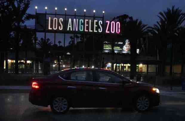 LA Zoo sign lights up as one of ten landmarks were lit up in a mosaic of colors to mark the fourth anniversary of the award-winning hate crime prevention campaign Friday, Los Angeles CA. Sept 26, 2025. After sunset, landmarks were illuminated to celebrate the city's diversity, including L.A. City Hall, U.S. Bank Tower, Union Station, the L.A. Zoo, the Port of Los Angeles Clock Tower, Griffith Observatory, the Los Angeles Memorial Coliseum, the Pasadena City Hall, the Anaheim City Hall, and the Getty Center. (Photo by Gene Blevins, Contributing Photographer)