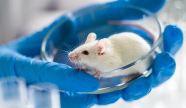 Lab Mouse Petri Dish