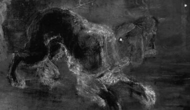 New Research Reveals Source for Dog in Rembrandt’s ‘Night Watch’
