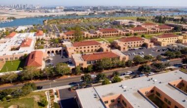 Liberty Station’s 2025-26 resident artists show their emerging talents – San Diego Union-Tribune