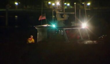 Shark bites long-distance swimmer in Catalina Channel – NBC Los Angeles