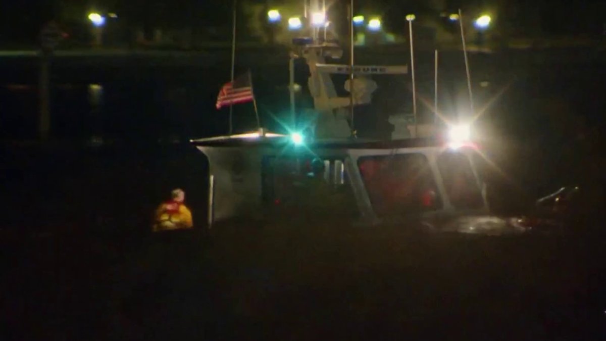 Shark bites long-distance swimmer in Catalina Channel – NBC Los Angeles