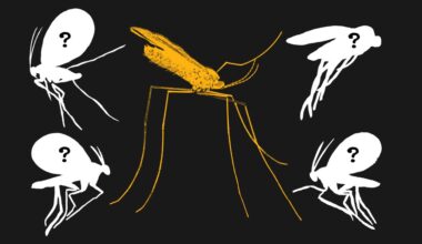 We still haven’t documented 90 percent of animals on Earth