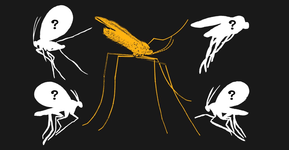 We still haven’t documented 90 percent of animals on Earth