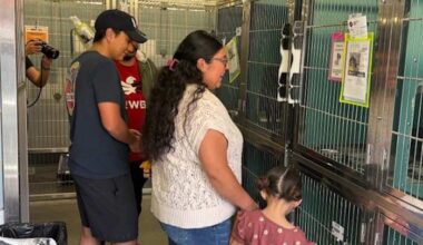 San Antonio Animal Care Services celebrates National Dog Week with free pet adoptions