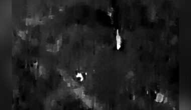 MDC expert addresses drone footage of unidentified animal in Perry County, Mo.