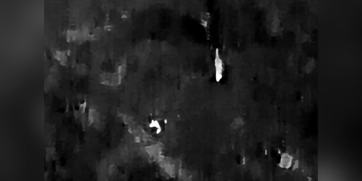 MDC expert addresses drone footage of unidentified animal in Perry County, Mo.