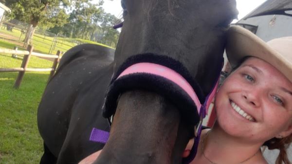 Local horse history: thereby hangs a tale