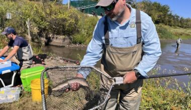 Invasive snakehead fish now dominate many Philly-area water ways