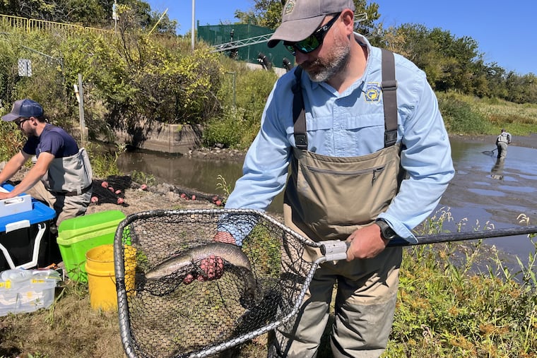 Invasive snakehead fish now dominate many Philly-area water ways