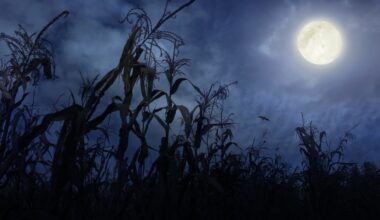 September 2025 full moon will include lunar eclipse