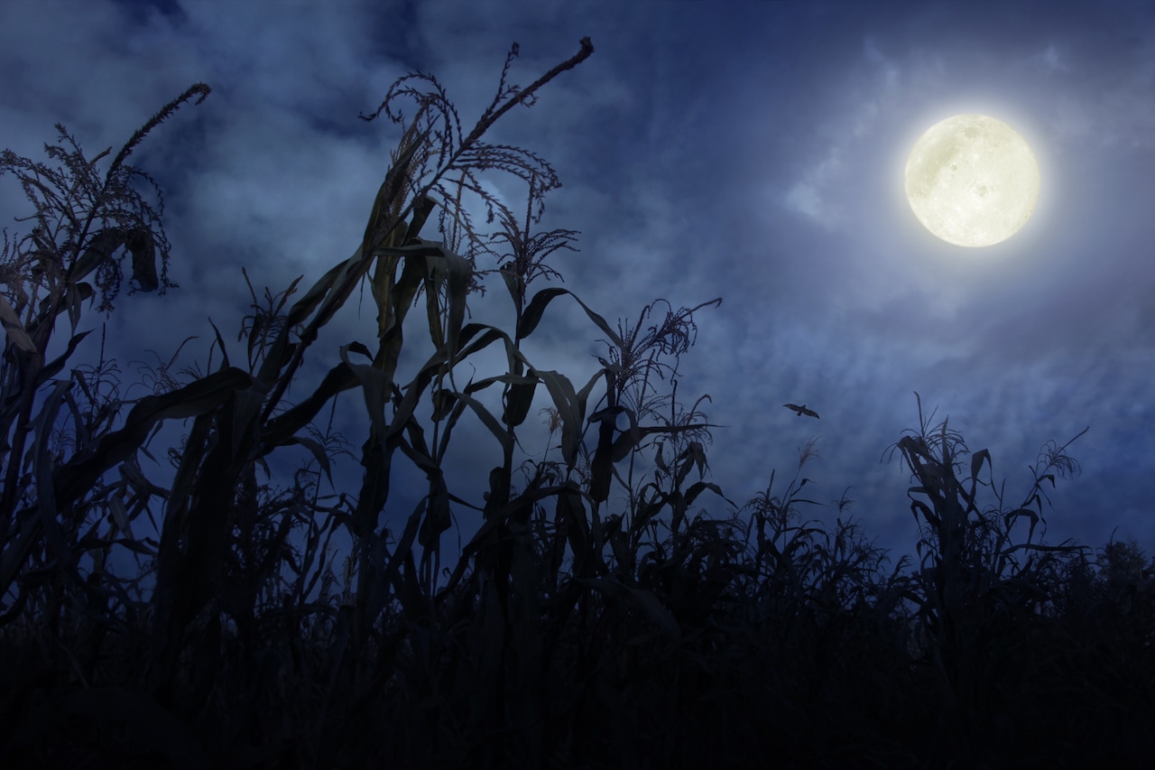 September 2025 full moon will include lunar eclipse