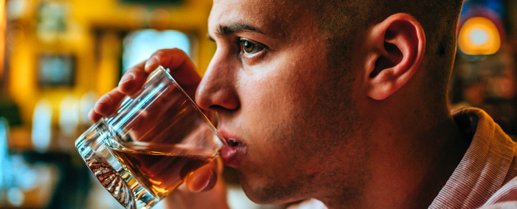 How Alcohol Helps Gut Bacteria Attack Your Liver : ScienceAlert