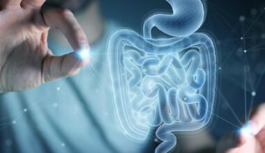 Medical Scan Human Intestines Digestive System Hologram Technology
