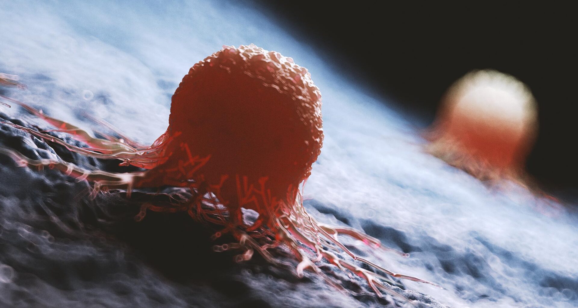 Medically Accurate Cancer Cells Rendering