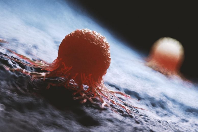 Medically Accurate Cancer Cells Rendering