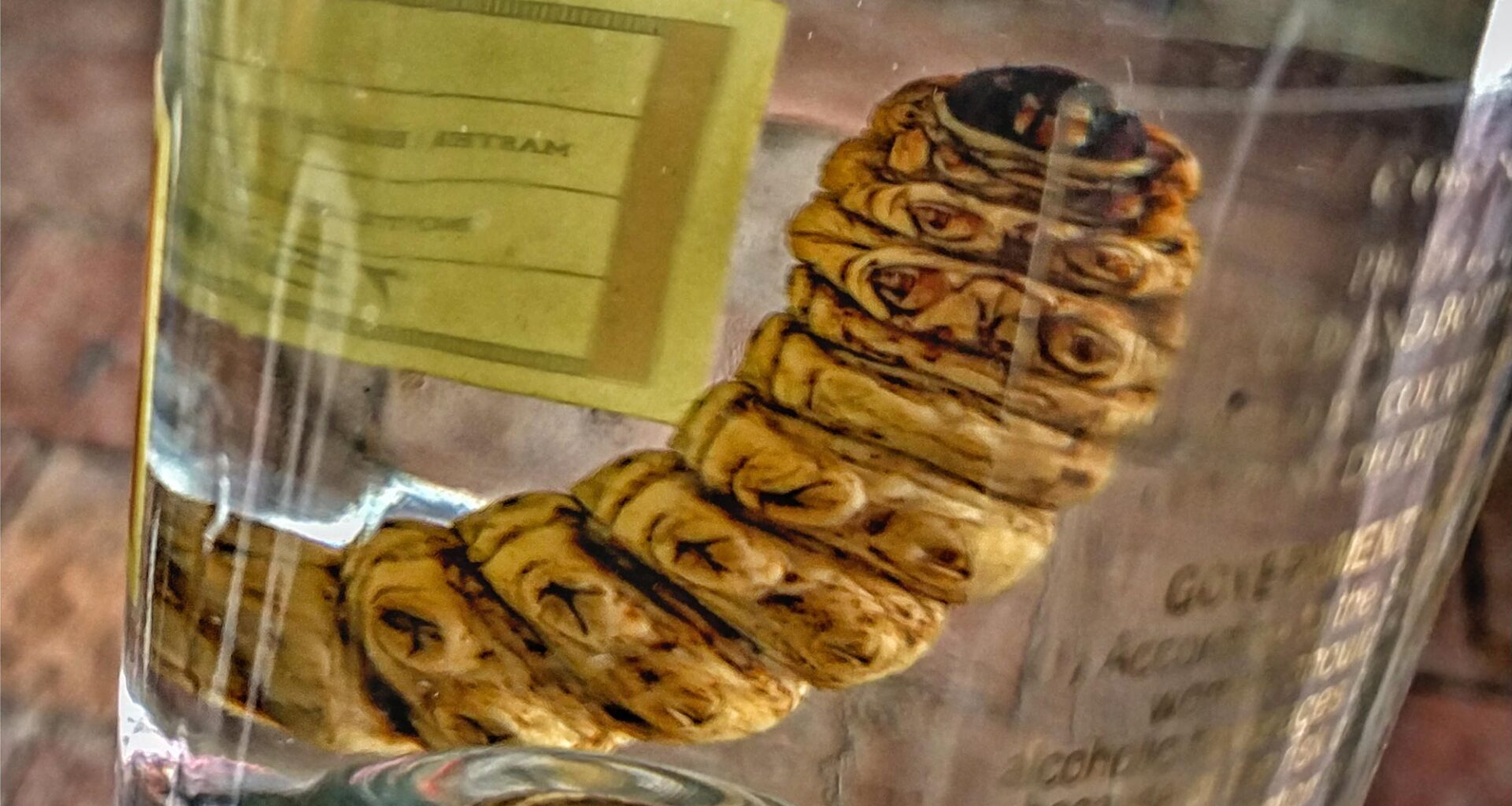 Mezcal Bottle Worm