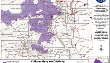 Colorado wolf map from CPW shows September activity across mountains