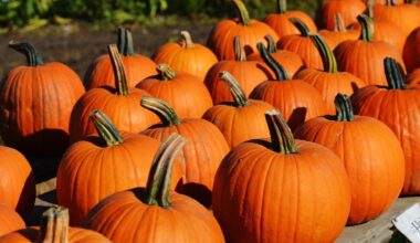 8 of the Best Pumpkin Patches in San Diego for Families 