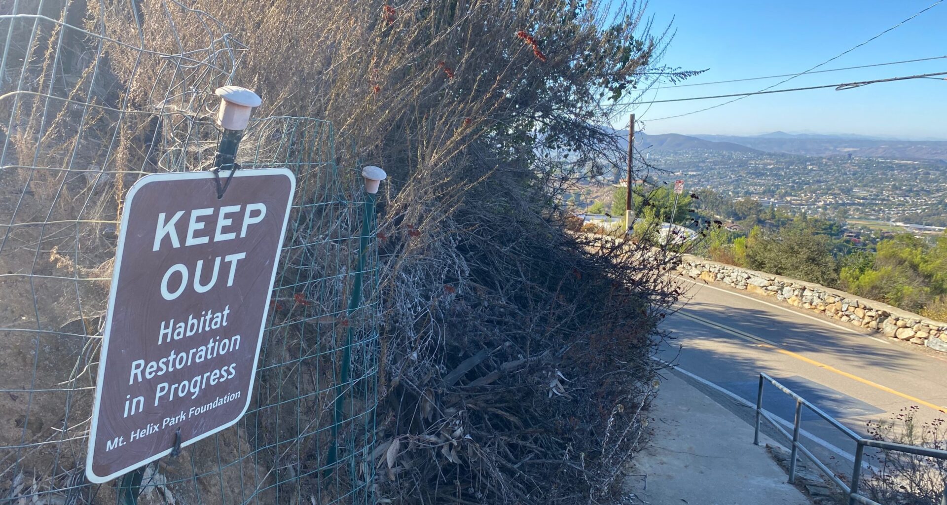 Mt. Helix Park now 95% native plants, thanks to local volunteers