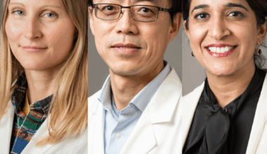 Team Awarded $3.1 Million to Study Why Some Brains Age Faster Than Others