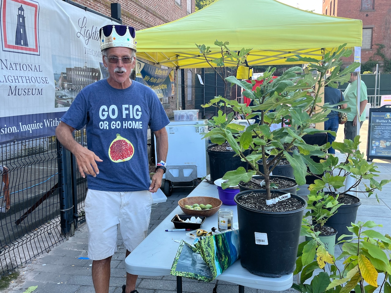 Fig Fest NYC