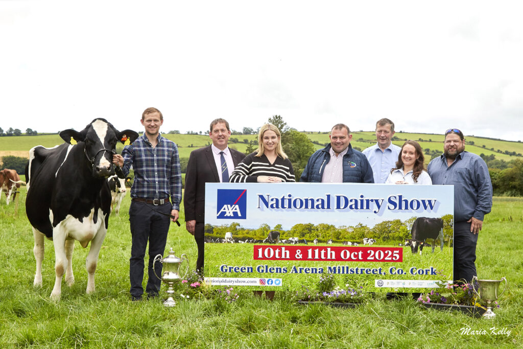 Eedy Doorman Fame AXA National Dairy Show Champion 2024, Jason Helen, Denis Kiely National Dairy Show director, Ciara O'Mahony IHFA, Philip Whitley, Seamus Crowley, Muireann Crowley and Martin Buckley