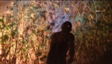 New fires in the Sepulveda Basin start after brush clearance begins – NBC Los Angeles