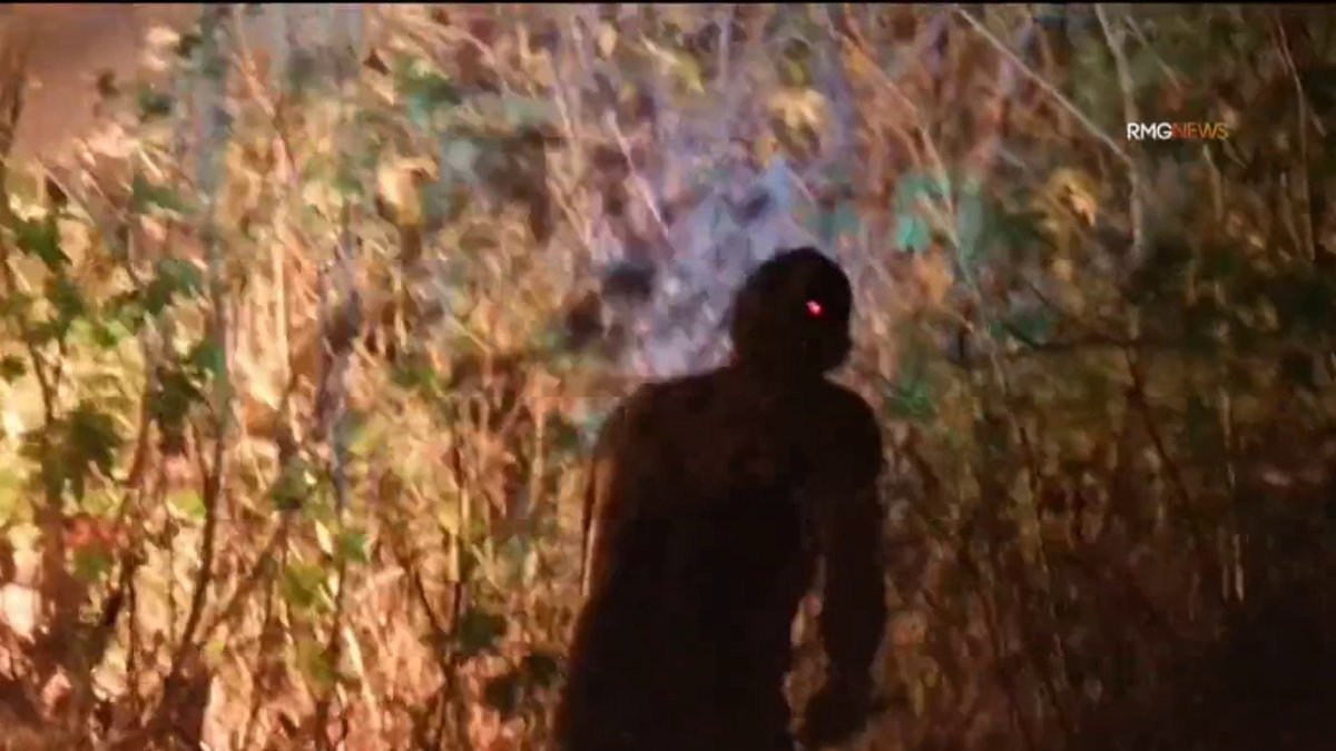 New fires in the Sepulveda Basin start after brush clearance begins – NBC Los Angeles
