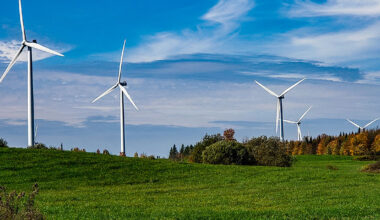 New York’s Green Energy Fantasy Continues