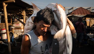 A man wearing a sleeveless shirt carries several large, freshly caught fish over his shoulders at an outdoor market, with stalls and people in the background.