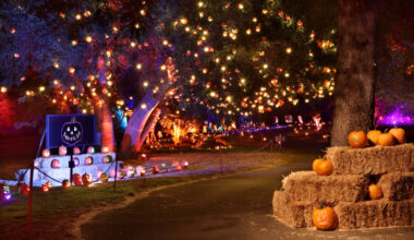 The Best Events & Haunted Fun