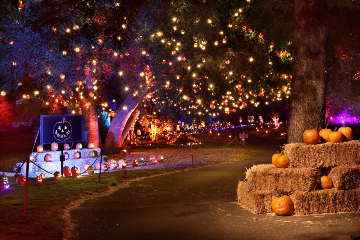 The Best Events & Haunted Fun