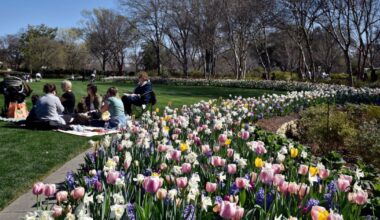 Sunny week ahead for Dallas-Fort Worth
