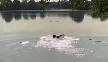 Man who died after rescue attempt at Woodlawn Lake identified